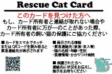 Rescue Cat Card カード裏面